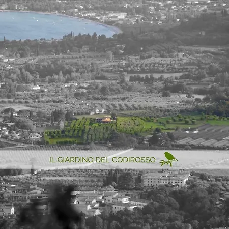 Il Giardino Del Codirosso